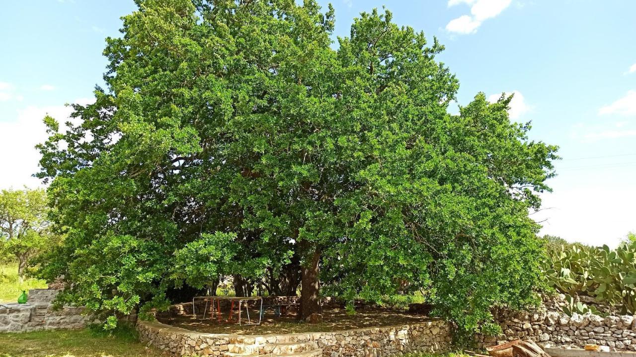 سيغلي ميسابيكا Masseria Lojazzo المظهر الخارجي الصورة